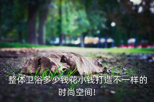  整體衛(wèi)浴多少錢花小錢打造不一樣的時(shí)尚空間!