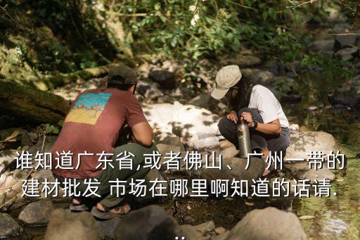 誰知道廣東省,或者佛山、廣州一帶的建材批發(fā) 市場在哪里啊知道的話請...