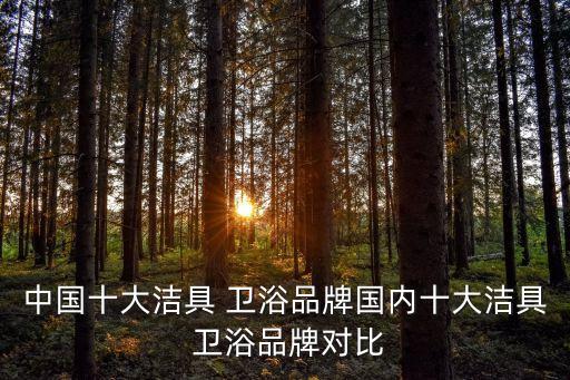 中國十大潔具 衛(wèi)浴品牌國內(nèi)十大潔具 衛(wèi)浴品牌對比