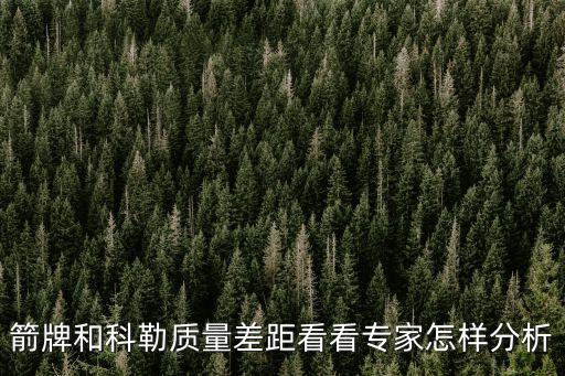 科勒衛(wèi)浴授權(quán)書圖片