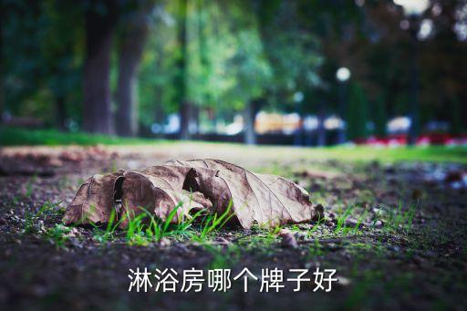 淋浴房哪個(gè)牌子好