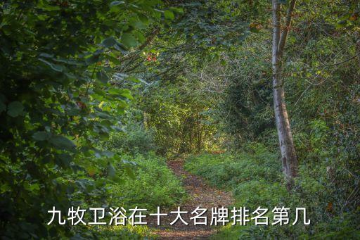 九牧衛(wèi)浴在十大名牌排名第幾