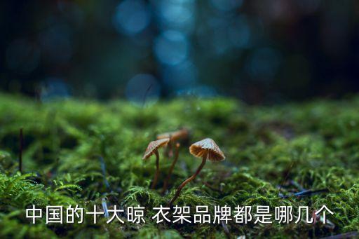 風(fēng)居衛(wèi)浴晾衣架推薦品牌