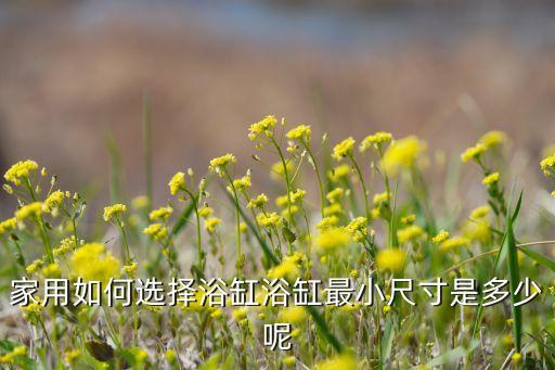 兒童衛(wèi)浴的特征有哪些圖片