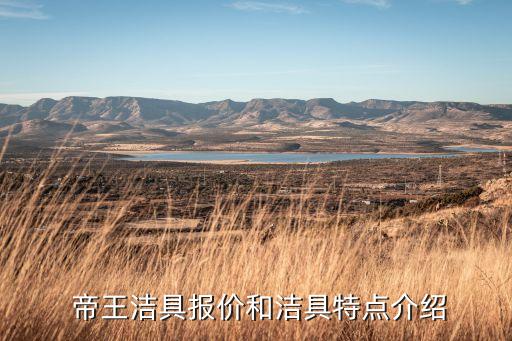  帝王潔具報價和潔具特點介紹