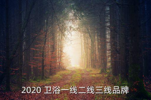 2020 衛(wèi)浴一線二線三線品牌