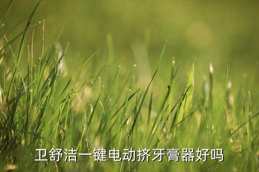 衛(wèi)舒潔一鍵電動擠牙膏器好嗎