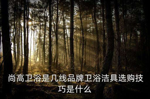  尚高衛(wèi)浴是幾線品牌衛(wèi)浴潔具選購技巧是什么