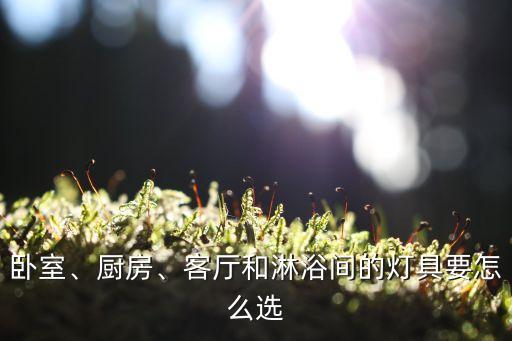 臥室、廚房、客廳和淋浴間的燈具要怎么選