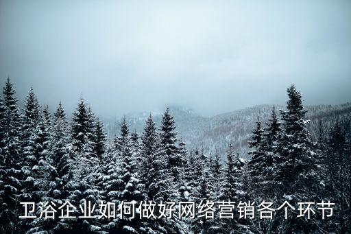  衛(wèi)浴企業(yè)如何做好網(wǎng)絡(luò)營(yíng)銷各個(gè)環(huán)節(jié)