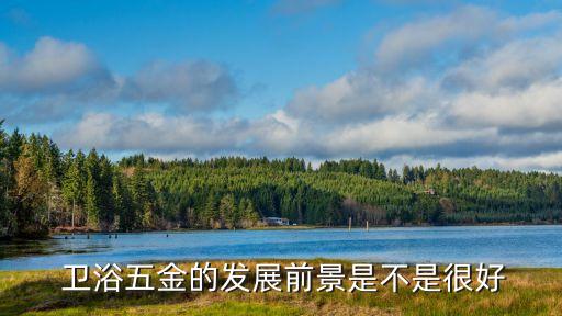  衛(wèi)浴五金的發(fā)展前景是不是很好