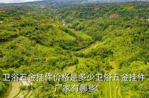 衛(wèi)浴五金掛件價格是多少衛(wèi)浴五金掛件 廠家有哪些