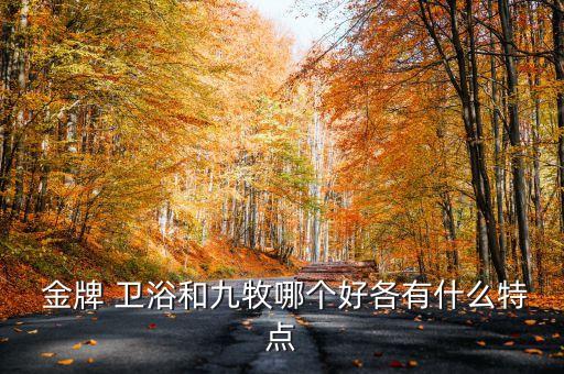  金牌 衛(wèi)浴和九牧哪個(gè)好各有什么特點(diǎn)