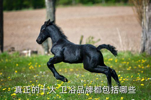 統(tǒng)用衛(wèi)浴旗下品牌有哪些,樂家衛(wèi)浴旗下的四大品牌
