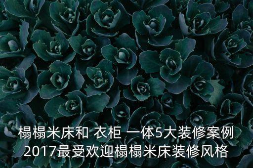 榻榻米床和 衣柜 一體5大裝修案例2017最受歡迎榻榻米床裝修風(fēng)格
