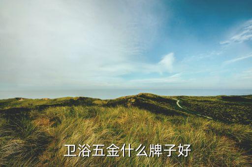 偉星衛(wèi)浴產(chǎn)品有哪些品牌,偉星管業(yè)都有哪些產(chǎn)品