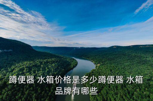 蹲便器 水箱價(jià)格是多少蹲便器 水箱品牌有哪些