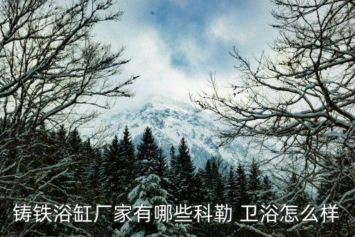 鑄鐵浴缸廠家有哪些科勒 衛(wèi)浴怎么樣