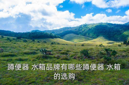 蹲便器 水箱品牌有哪些蹲便器 水箱的選購