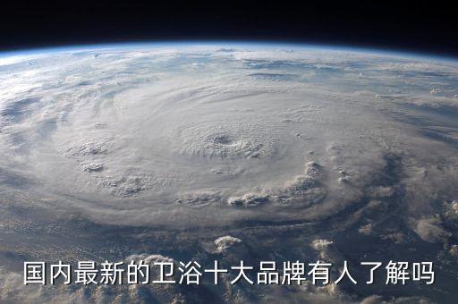 國內(nèi)最新的衛(wèi)浴十大品牌有人了解嗎