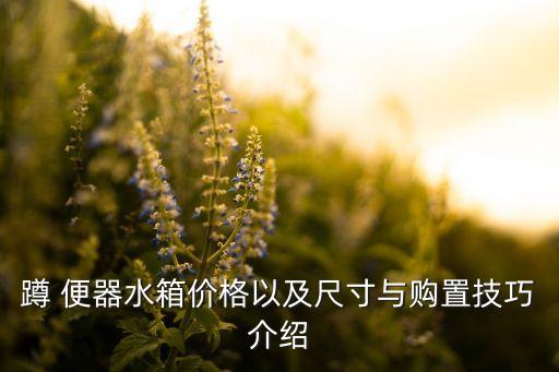 蹲 便器水箱價格以及尺寸與購置技巧介紹
