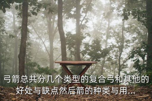 弓箭總共分幾個(gè)類型的復(fù)合弓和其他的好處與缺點(diǎn)然后箭的種類與用...