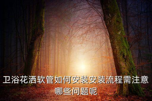 衛(wèi)浴花灑軟管如何安裝安裝流程需注意哪些問題呢