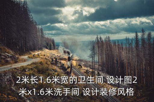 2米長1.6米寬的衛(wèi)生間 設(shè)計圖2米x1.6米洗手間 設(shè)計裝修風(fēng)格
