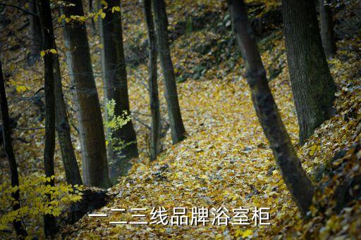 一二三線品牌浴室柜