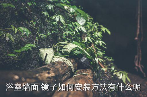 衛(wèi)浴貼墻鏡子圖片欣賞大全