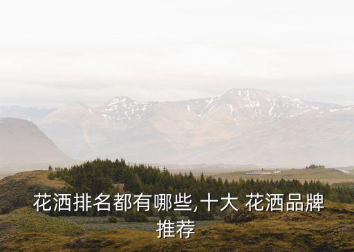  花灑排名都有哪些,十大 花灑品牌推薦