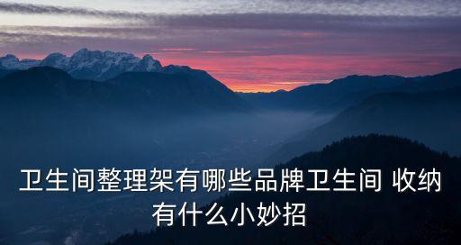 衛(wèi)生間整理架有哪些品牌衛(wèi)生間 收納有什么小妙招