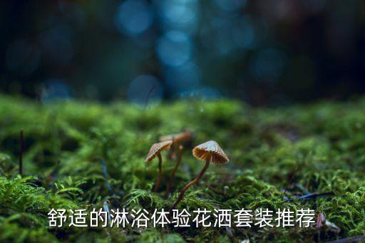舒適的淋浴體驗(yàn)花灑套裝推薦