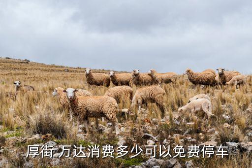 東莞厚街萬達(dá)定制衛(wèi)浴品牌