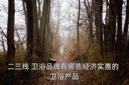 二三線 衛(wèi)浴品牌有哪些經(jīng)濟實惠的 衛(wèi)浴產(chǎn)品
