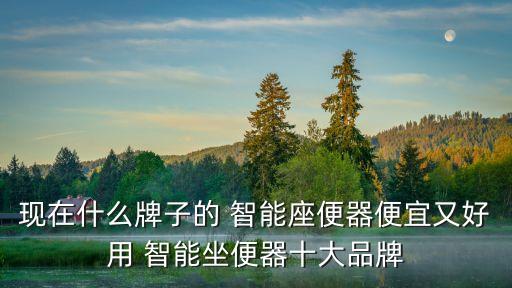 九牧衛(wèi)浴智能馬桶底面圖片,九牧智能衛(wèi)浴馬桶價格表