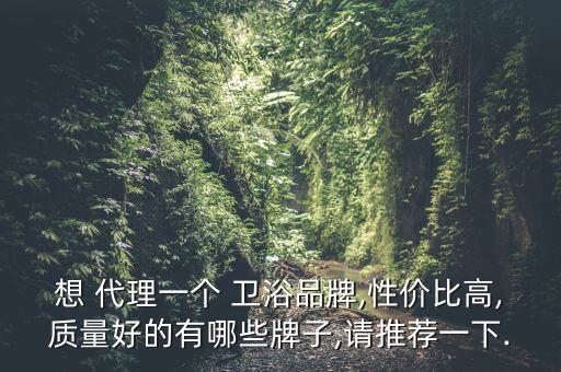縣級代理做哪個衛(wèi)浴品牌好
