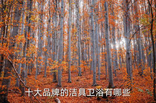 鷹衛(wèi)浴和摩恩,摩恩和鷹衛(wèi)浴哪個(gè)好