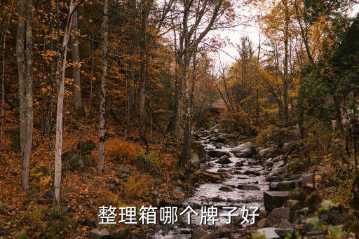 整理箱哪個牌子好