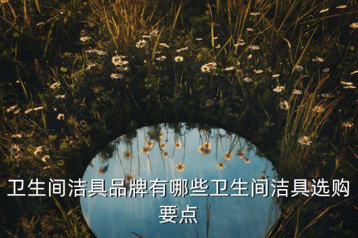 衛(wèi)生間潔具品牌有哪些衛(wèi)生間潔具選購要點