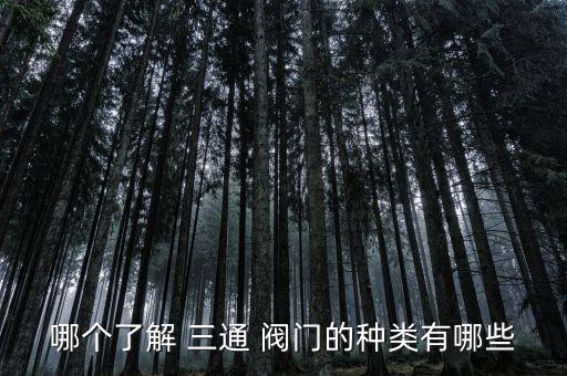 哪個(gè)了解 三通 閥門的種類有哪些