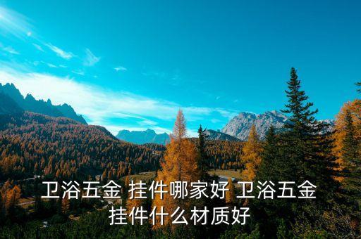  衛(wèi)浴五金 掛件哪家好 衛(wèi)浴五金 掛件什么材質(zhì)好