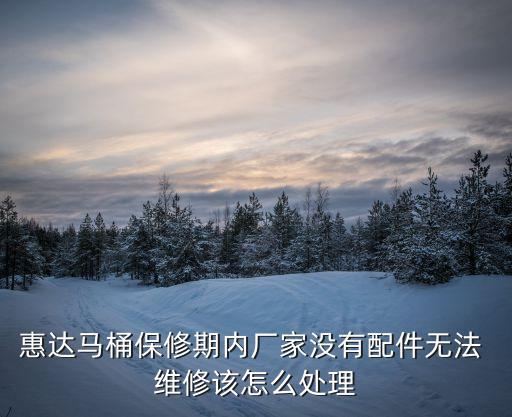 惠達(dá)馬桶保修期內(nèi)廠家沒有配件無法 維修該怎么處理