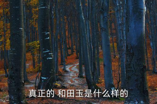 真正的 和田玉是什么樣的