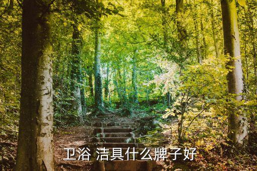  衛(wèi)浴 潔具什么牌子好