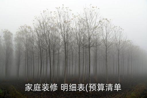 家庭裝修 明細(xì)表(預(yù)算清單