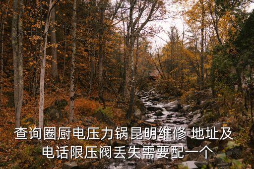 查詢圈廚電壓力鍋昆明維修 地址及 電話限壓閥丟失需要配一個