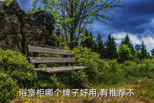 浴室柜哪個牌子好用,有推薦不