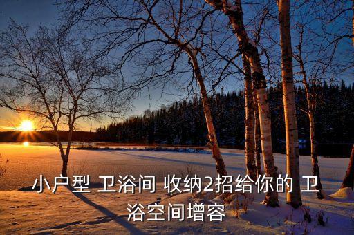 衛(wèi)浴收納品牌文案海報(bào)設(shè)計(jì)