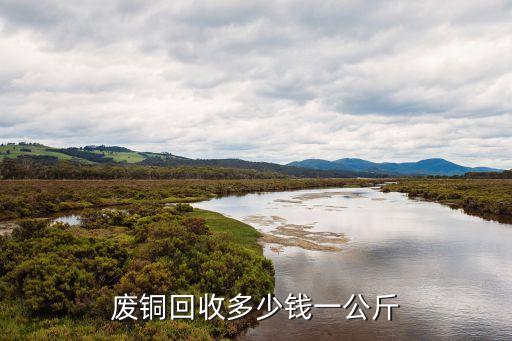 廢銅回收多少錢一公斤